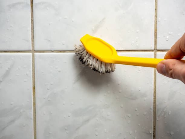 Best Mold Removal Near Me  in Piney Point Village, TX
